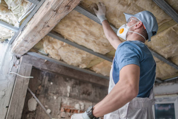 Best Geographic-Specific Insulation Services in Toast, NC